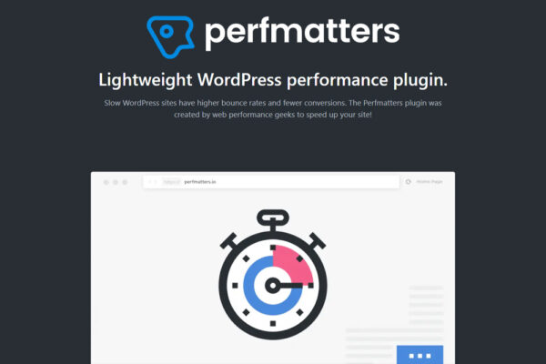 Perfmatters 2.4.1