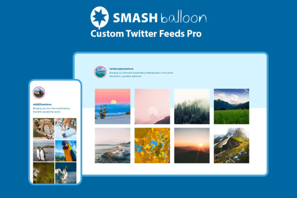SmashBalloon – Custom Twitter Feeds Pro 2.4.6